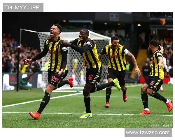 爱甲联赛精彩对决谢尔伯恩迎战德罗赫达斯争夺胜利荣耀